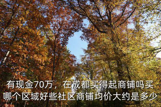成都哪里能買商鋪,在成都買得起商鋪嗎
