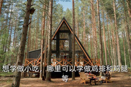 想學做小吃，哪里可以學做雞排和雞腿等