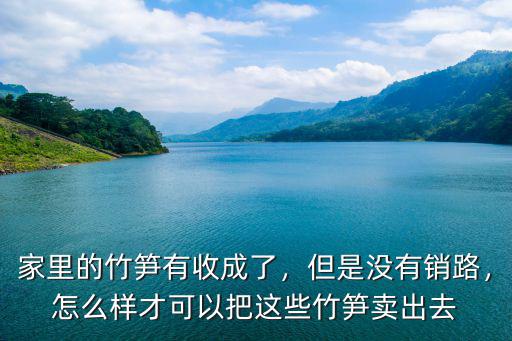 家里的竹筍有收成了，但是沒有銷路，怎么樣才可以把這些竹筍賣出去