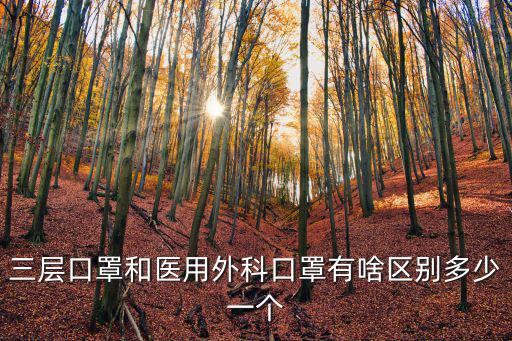 三層口罩和醫(yī)用外科口罩有啥區(qū)別多少一個(gè)