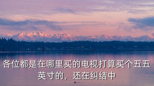 內(nèi)江買電視在哪里買,各位都是在哪里買的電視
