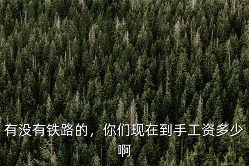 焦作鐵路工資多少,你們現(xiàn)在到手工資多少啊