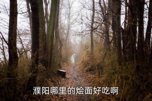濮陽哪里有羊頭好吃,濮陽哪里的燴面好吃啊