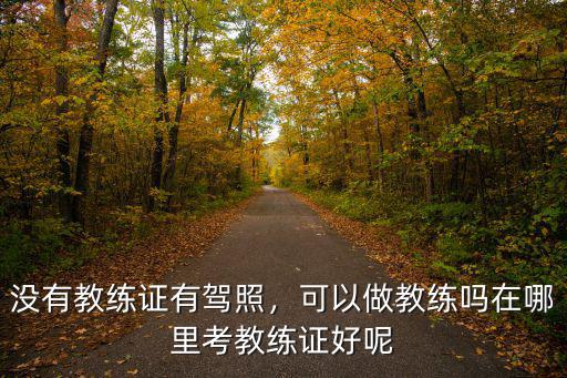 成都在哪里可以考教練證駕校的,在哪里考教練證好呢