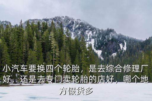 小汽車要換四個輪胎，是去綜合修理廠好，還是去專門賣輪胎的店好，哪個地方假貨多