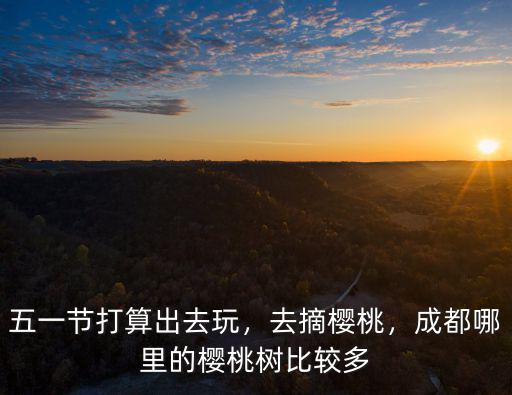 成都哪里看櫻桃花,成都哪里的櫻桃樹比較多