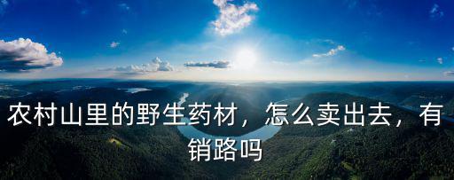 涼山野生藥材在哪里收,在農村收購野生藥材銷路好嗎