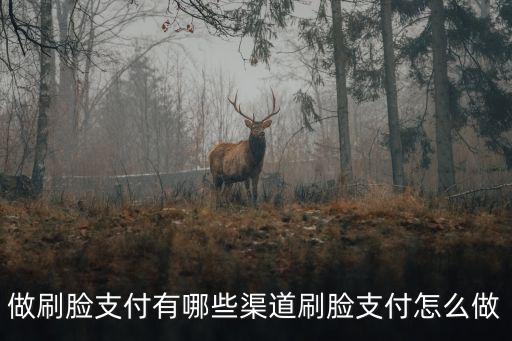 做刷臉支付有哪些渠道刷臉支付怎么做