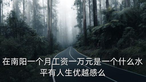 在南陽一個月工資一萬元是一個什么水平有人生優越感么