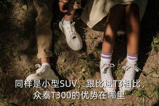 攀枝花眾泰T300在哪里,眾泰T300的優(yōu)勢在哪里