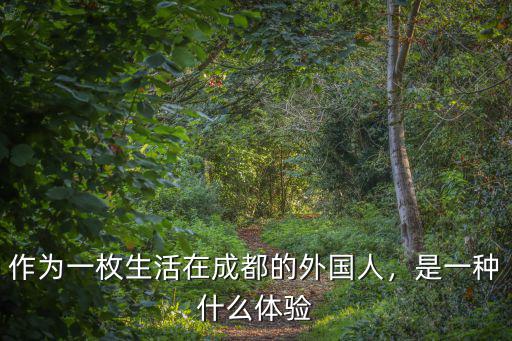 成都外國人聚居在哪里,作為一枚生活在成都的外國人