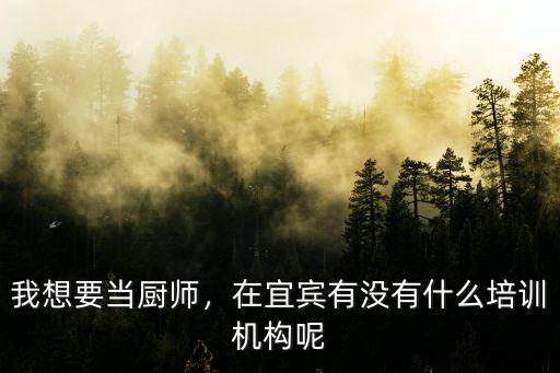 宜賓小吃培訓在哪里,在哪里可以學