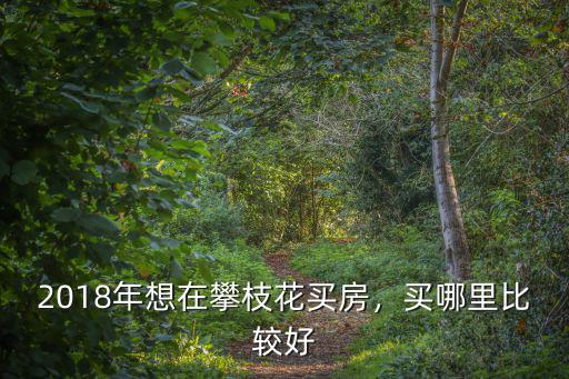 在攀枝花哪里買房,2018年想在攀枝花買房