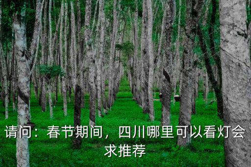 成都哪里看表演,四川哪里可以看燈會