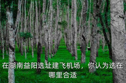 達(dá)州宣漢飛機(jī)場(chǎng)選址在哪里,在湖南益陽選址建飛機(jī)場(chǎng)