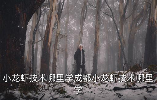 四川省瀘縣在哪里學(xué)丬養(yǎng)龍蝦,在哪里可以學(xué)養(yǎng)龍蝦