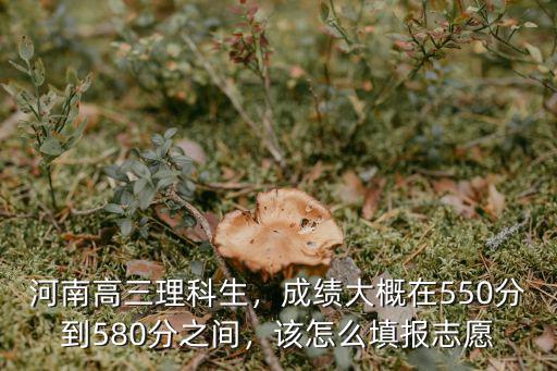 河南587分怎么填志愿,應該如何填志愿