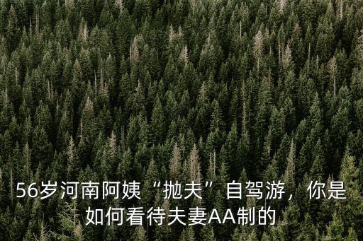 怎么看待河南阿姨自駕游,你是如何看待夫妻AA制的