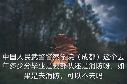 中國人民武警警察學院（成都）這個去年多少分畢業是去部隊還是消防呀，如果是去消防，可以不去嗎