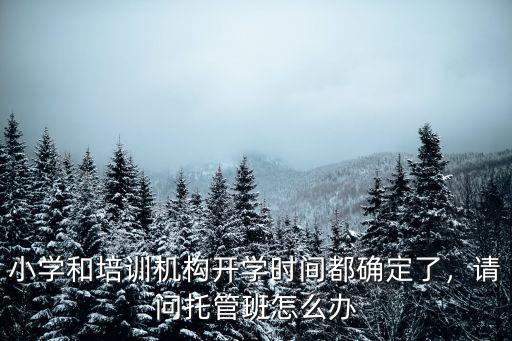 小學和培訓機構開學時間都確定了，請問托管班怎么辦