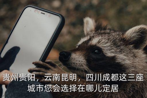 貴州貴陽(yáng)，云南昆明，四川成都這三座城市您會(huì)選擇在哪兒定居