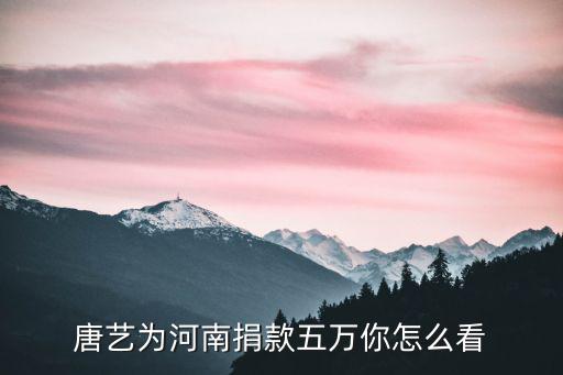 河南雨災唐藝捐款多少,唐藝為河南捐款五萬你怎么看