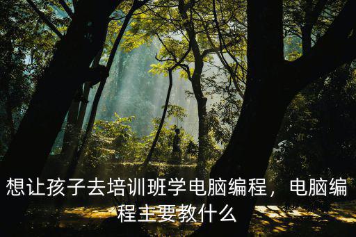 想讓孩子去培訓班學電腦編程，電腦編程主要教什么
