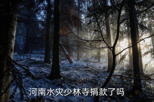 河南水災少林寺捐款了嗎