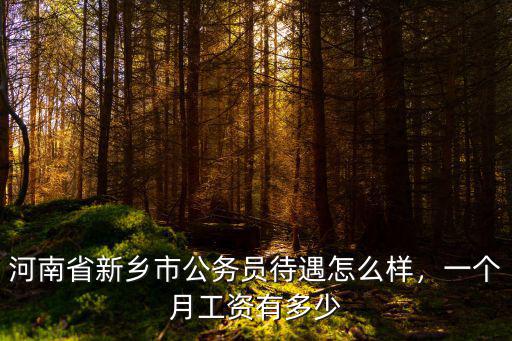 新鄉(xiāng)編制高中教師待遇怎么樣,高中教師工資怎么樣