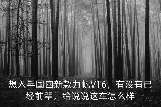 想入手國(guó)四新款力帆V16，有沒有已經(jīng)前輩，給說(shuō)說(shuō)這車怎么樣