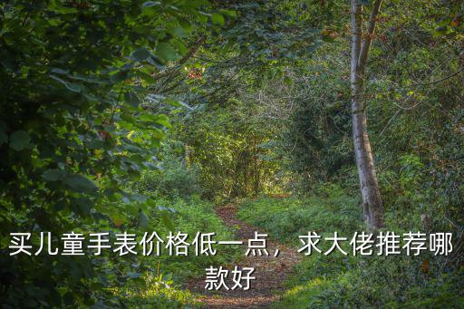 買兒童手表價(jià)格低一點(diǎn)，求大佬推薦哪款好