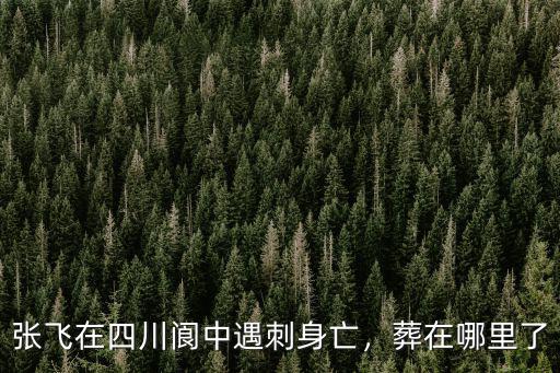 張飛在四川閬中遇刺身亡，葬在哪里了