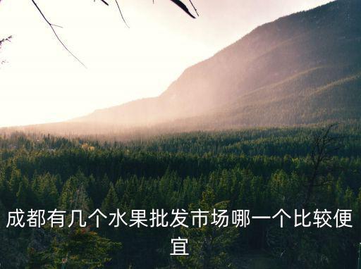 成都有幾個水果批發(fā)市場哪一個比較便宜