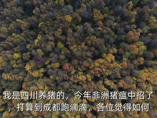 四川豬瘟是在哪里,四川非洲豬瘟爆發(fā)