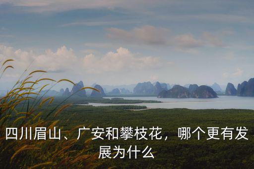 四川眉山、廣安和攀枝花，哪個更有發展為什么
