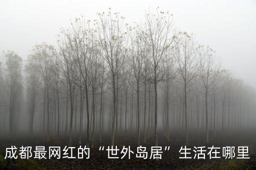 成都最網(wǎng)紅的“世外島居”生活在哪里