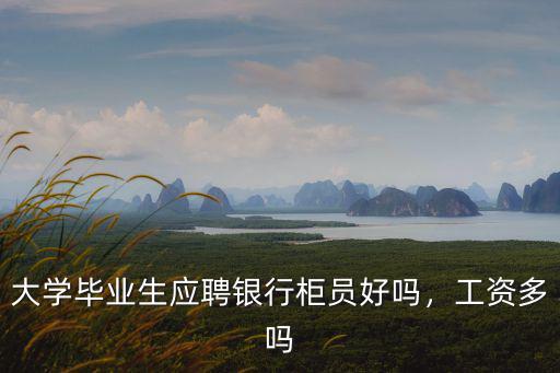 大學畢業生應聘銀行柜員好嗎，工資多嗎