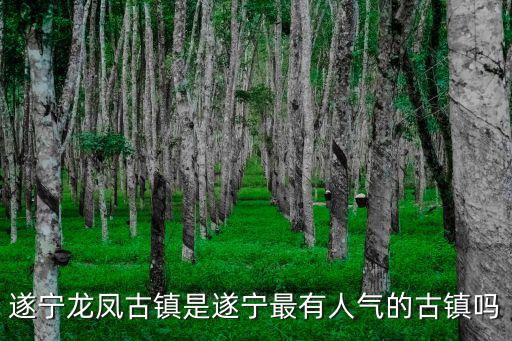 四川遂寧龍鳳古鎮是哪里,遂寧龍鳳古鎮有住宿嗎