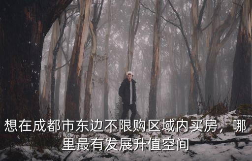 想在成都市東邊不限購(gòu)區(qū)域內(nèi)買(mǎi)房，哪里最有發(fā)展升值空間