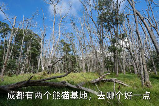 熊貓在成都哪里好玩,成都的大熊貓基地在哪里