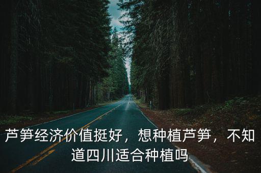 蘆筍經(jīng)濟(jì)價(jià)值挺好，想種植蘆筍，不知道四川適合種植嗎