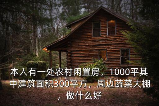 本人有一處農村閑置房，1000平其中建筑面積300平方，周邊蔬菜大棚，做什么好