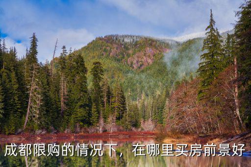 成都限購的情況下，在哪里買房前景好