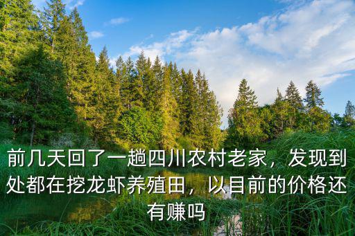 前幾天回了一趟四川農村老家，發現到處都在挖龍蝦養殖田，以目前的價格還有賺嗎