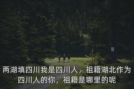 四川鞠波是哪里人,祖籍是哪里的呢