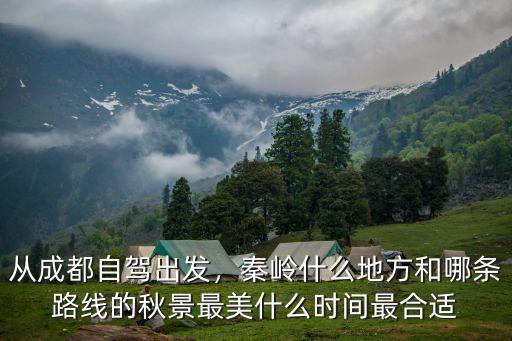 秋天成都哪里的景色最美,成都附近哪里可以看秋景