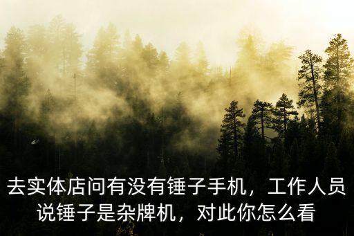 去實體店問有沒有錘子手機，工作人員說錘子是雜牌機，對此你怎么看
