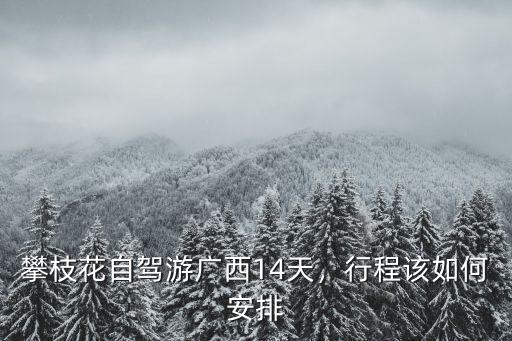 攀枝花自駕游廣西14天，行程該如何安排