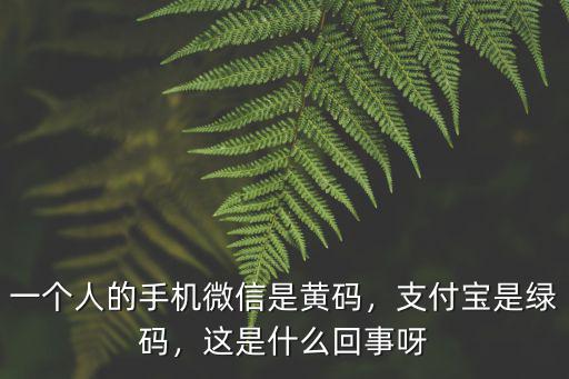 開封支付寶黃碼微信綠碼怎么回事,支付寶是綠碼