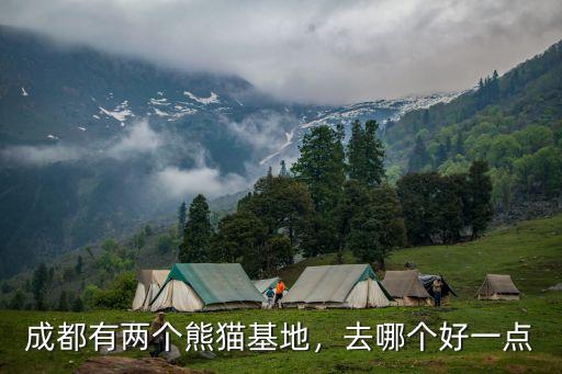 成都有兩個熊貓基地，去哪個好一點
